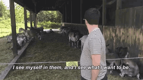 Will Menaker Goats GIF - Will Menaker Goats Farm GIFs