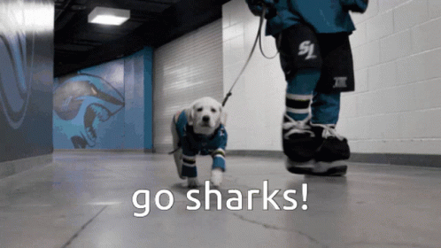 Nhl Go Sharks GIF - Nhl Go Sharks Dag GIFs
