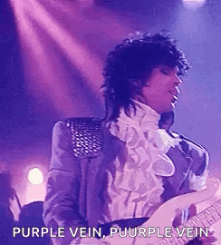 Prince Purple Rain GIF - Prince Purple Rain GIFs