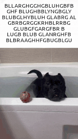 a black dog is laying in a bathtub next to a red piggy bank