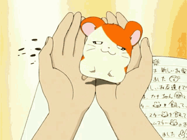 a hamster is being held in someone 's hands in front of a piece of paper with chinese writing on it