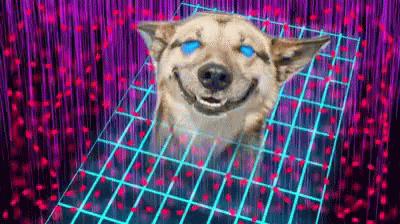 Dog Laser Eyes GIF - Dog Laser Eyes Smile GIFs