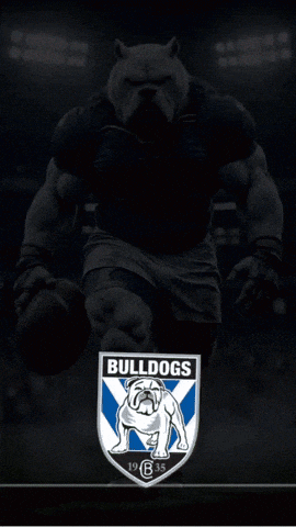 a picture of a bulldog holding a football with the word bulldogs on the bottom
