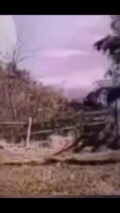 a blurry picture of a field with trees and a fence in the background