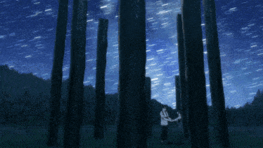 a couple standing in a forest with stars in the sky