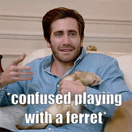 a man sitting on a couch holding a ferret with a caption that says " confused playing with a ferret "