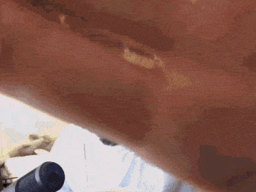 a close up of a person 's hand holding something