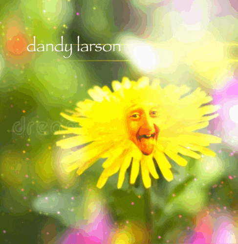 a dandelion with a face on it and the name dandy larson below it