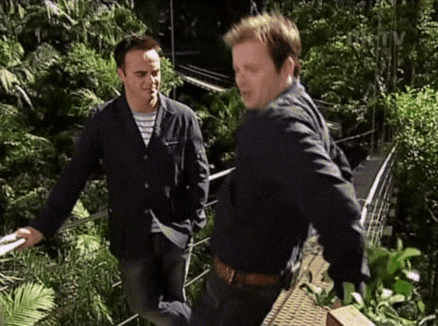 Im A Celebrity Get Me Out Of Here Ant Mcpartlin GIF - Im A Celebrity Get Me Out Of Here Ant Mcpartlin Declan Donnelly GIFs