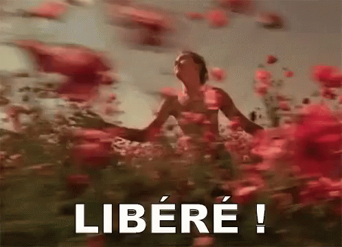 Libéré ! GIF - Running Liberty GIFs