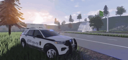 a state police car is parked on the side of a road
