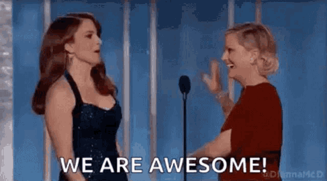 two women are standing next to each other in front of a microphone and talking to each other .