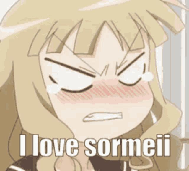 a girl with a very angry face and the words i love sormeii