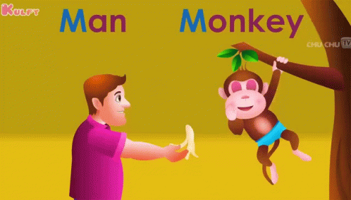 M For Man Man GIF - M For Man Man Monkey GIFs