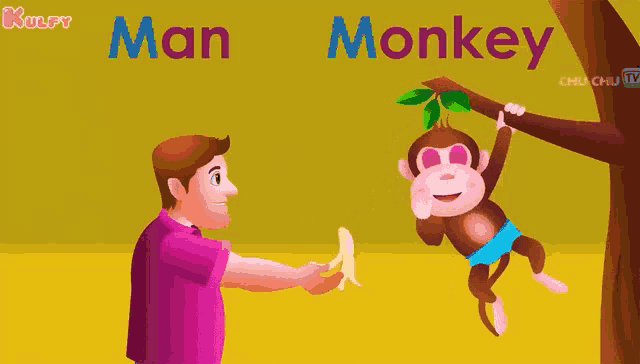 a man is giving a banana to a monkey that is hanging on a tree branch