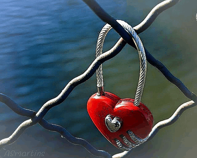 a red heart shaped padlock is hanging on a wire fence