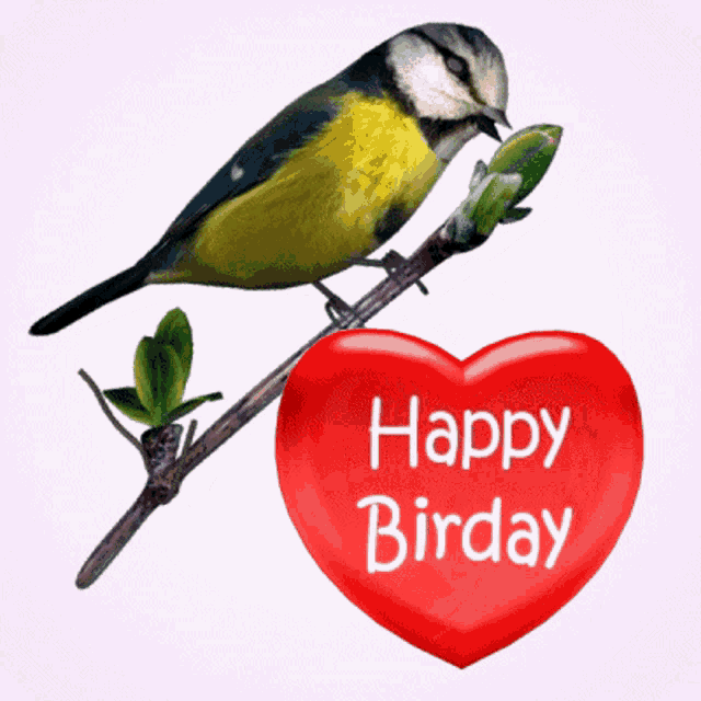 a bird is perched on a branch next to a heart that says happy birday