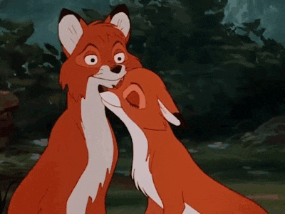 a couple of foxes are hugging each other in a forest