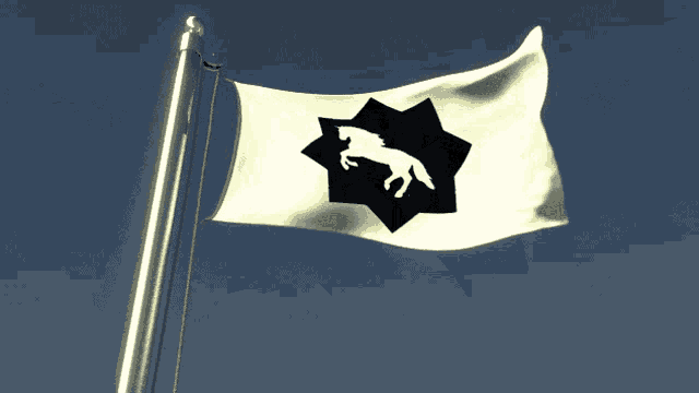 a white flag with a black horse in a star on it