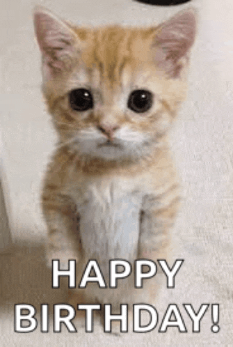 a kitten is sitting on the floor with the words `` happy birthday ! ''