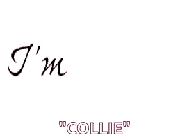 a pink circle with the words `` i 'm collie '' written on it .