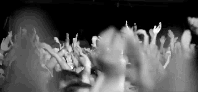 a black and white photo of a crowd of people raising their hands in the air at a concert .