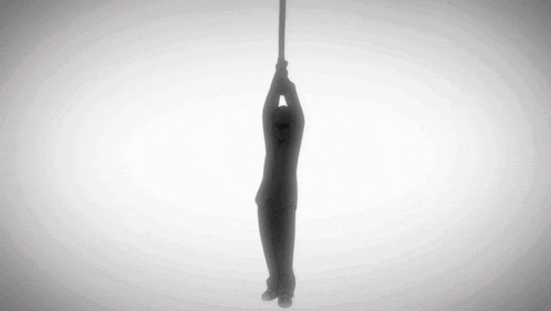 a silhouette of a person hanging from a rope against a white background