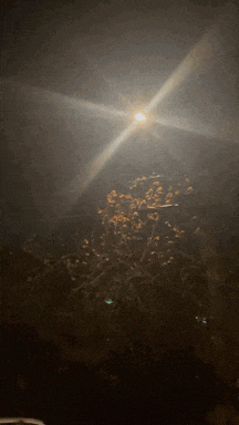 a street light shines brightly in the dark