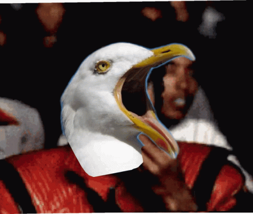 Michael Jackson Popcorn GIF - Michael Jackson Popcorn Seagull GIFs