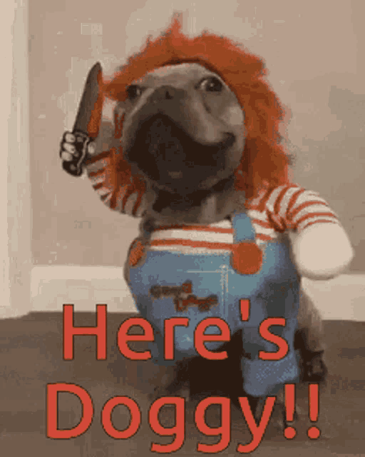 Funny Dogs GIF - Funny Dogs Costume GIFs