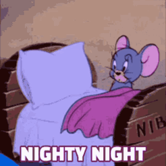 a cartoon mouse is laying in a bed with the words nighty night above him
