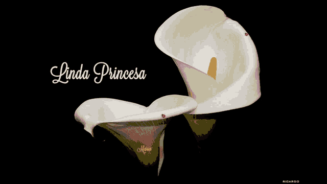 a picture of a flower with the words linda princesa above it