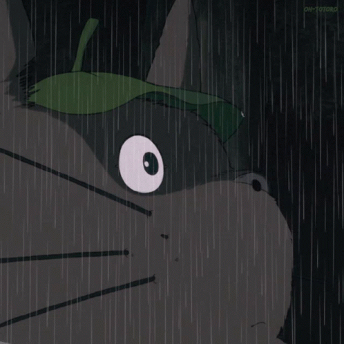 Rain Totoro GIF - Rain Totoro Anime GIFs