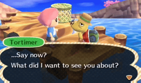 a video game character named tortimer talking to a girl