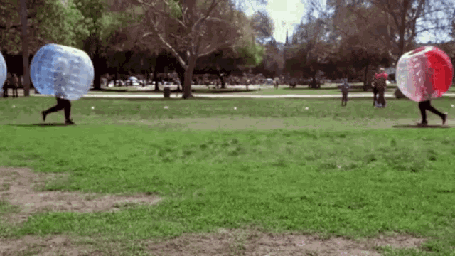 a group of people are playing with bubble balls in a park