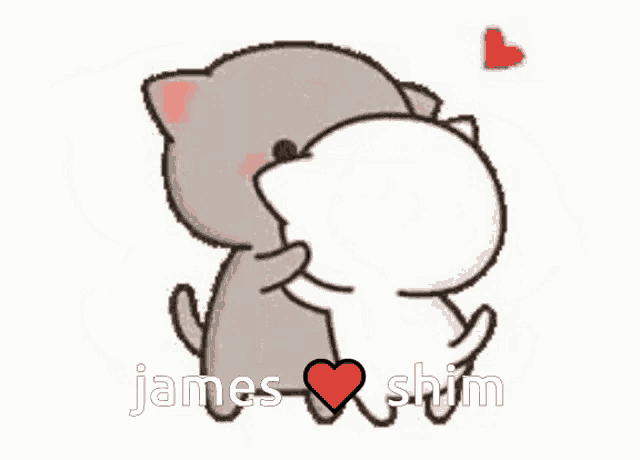 a couple of cartoon cats standing next to each other with the words `` james and shim '' written on the bottom .
