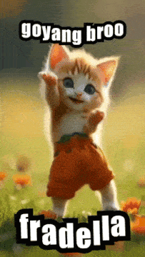 a picture of a kitten with the words goyang broo fradella below it