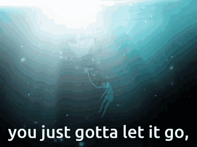 a picture of a person in the water with the words " you just gotta let it go " below them