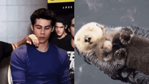 a man in a blue shirt is next to an otter