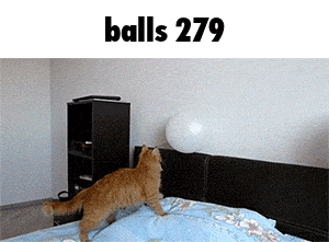 a cat is playing with a balloon on a bed under the words " balls 279 "
