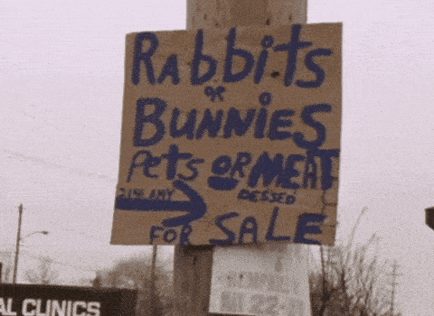 a sign for rabbits or bunnies pets or meat