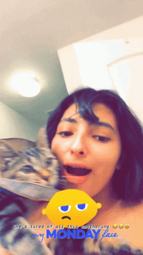 Monday National Cat Day GIF - Monday National Cat Day Kiss GIFs