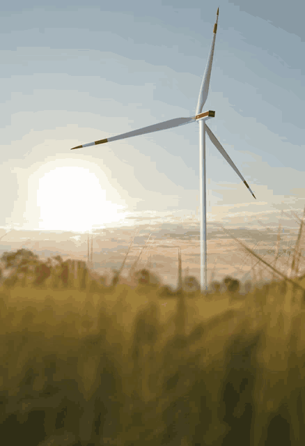 a wind turbine in a grassy field with the sun behind it