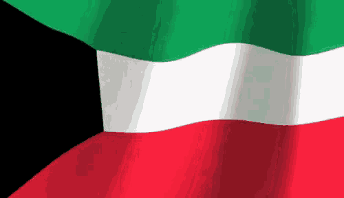 a close up of a flag waving in the wind .