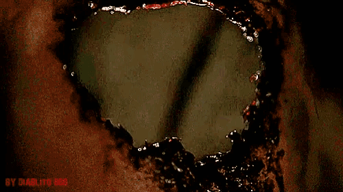 Jeepers GIF