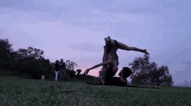 a group of people are dancing in a park with a dog