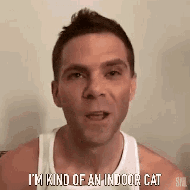 Im Kind Of An Indoor Cat Bill Hader GIF - Im Kind Of An Indoor Cat Bill Hader Saturday Night Live GIFs
