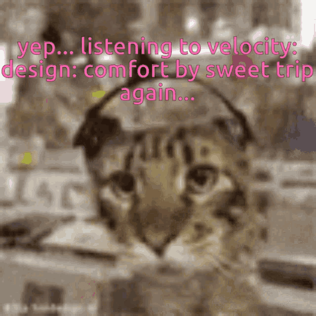 a cat wearing headphones with the words yep listening to velocity design comfort by sweet trip again written below it