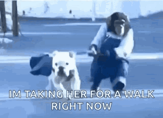 a monkey is riding a motorcycle with a dog .