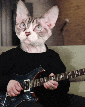 a cat is playing a guitar with the letters psr on the neck